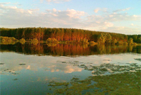 Берёзовское озеро
