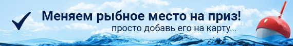 rybolov-nn логотип