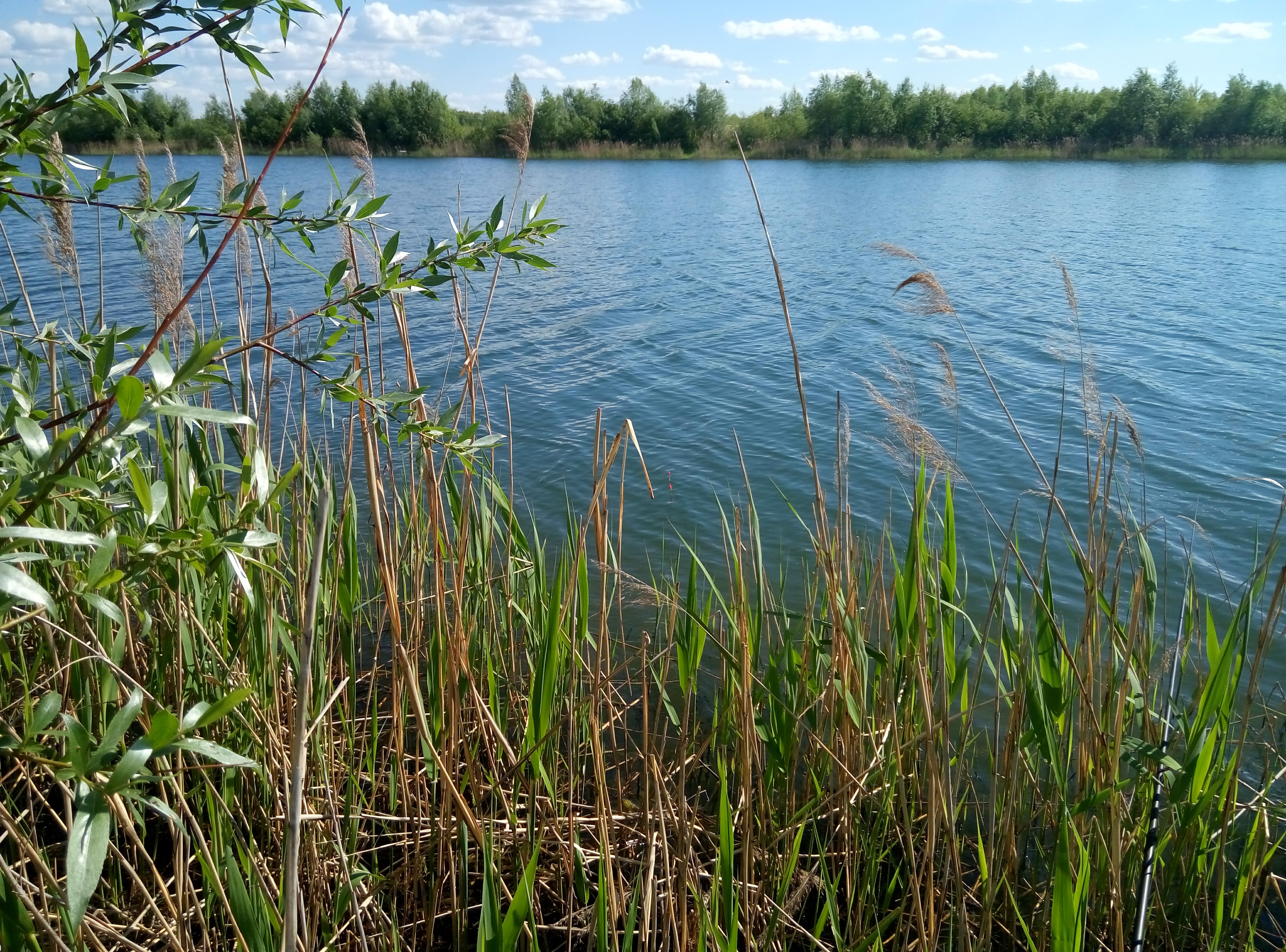 Озеро юрасовское борский район