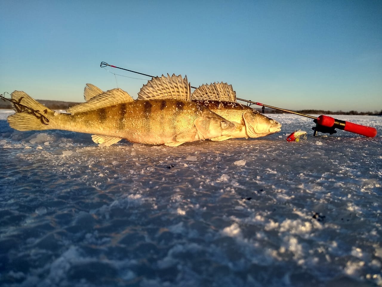 Зимняя рыбалка с гидом на Чебоксарском Водохранилище