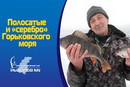 Полосатые и "серебро" Горьковского моря. Окунь на балансир, плотва на безнасадку.