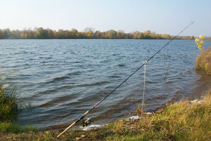 Рыбалка нижний новгород и область в контакте