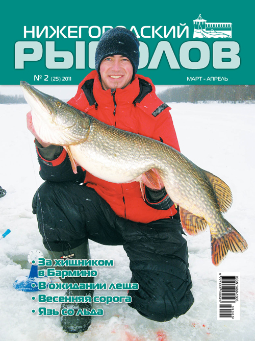 Нижегородский журнал. Нижегородские журналы названия.