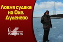 Ловля судака на балансир на Оке в Дуденево.