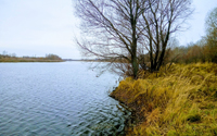 Юрасовское озеро (г. Бор, Нижегородская область)