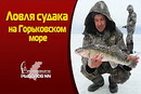 Ловля судака на Горьковском море. Балансир.