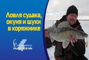 Ловля судака, окуня и щуки в коряжнике. Чебоксарское водохранилище. Хмелёвка. 