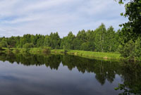 Березовец пруды (рыбалка в Нижегородской области)