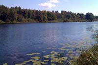 Озеро за Михальчиковой протокой