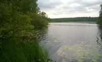 Лопаты озеро (рыбалка в Нижегородской области)