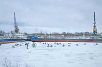 В донской порт за карасём 