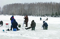 В поисках плотвы