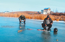 На городском озере