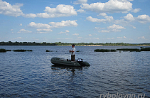 Рыбы меньше не стало... пока