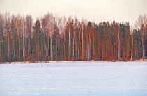 Рыбалка в заморы?